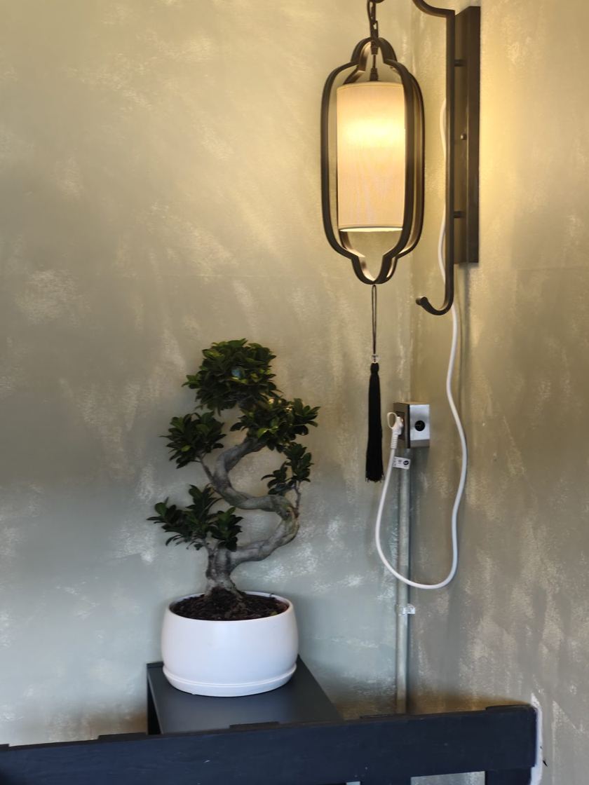 Bonsai i lampa w BuKun
